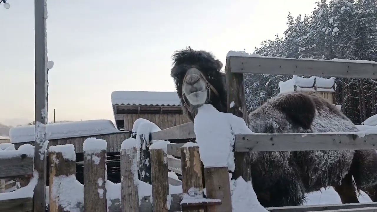 Эко-парк Деревенька 