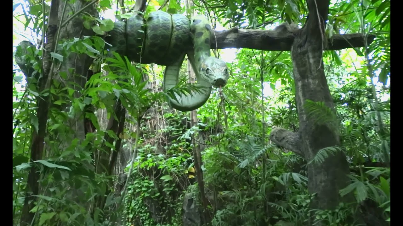 Zoo Safari World Thailand Bangkok.Attraction Jungle Cruise.
