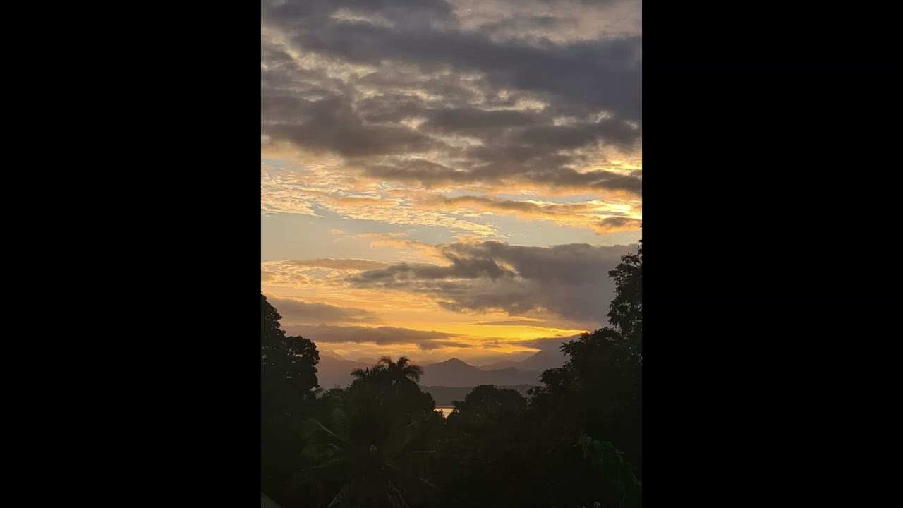 *FREE* Playboi Carti x Adrian Type Beat - Godness - zuurkey