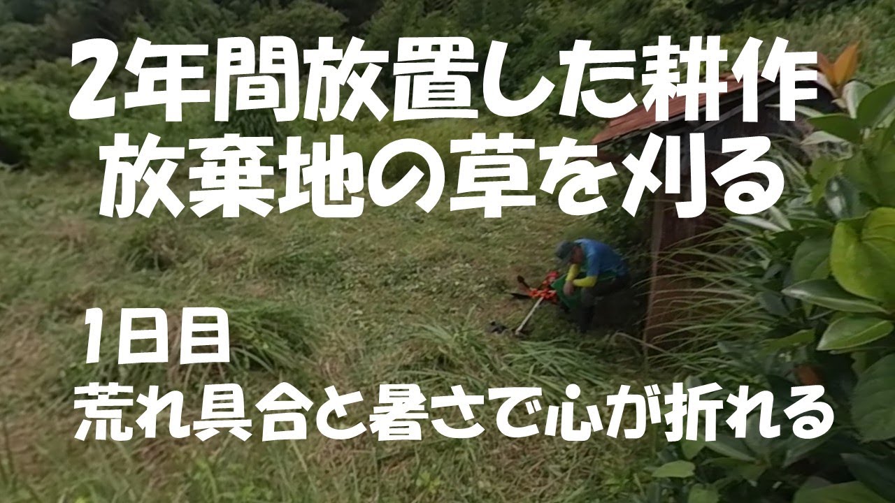 【草刈り】2年間放置した耕作放棄地の草を刈る＃1/荒れ具合と暑さで心が折れる