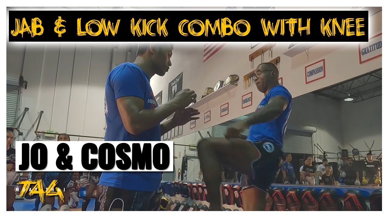 Jab and Low Kick Combo with Knee with Jo Nattawut and Cosmo Alexandre
