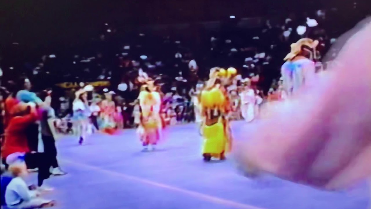 Men’s Grass - Ann Arbor Powwow 1993