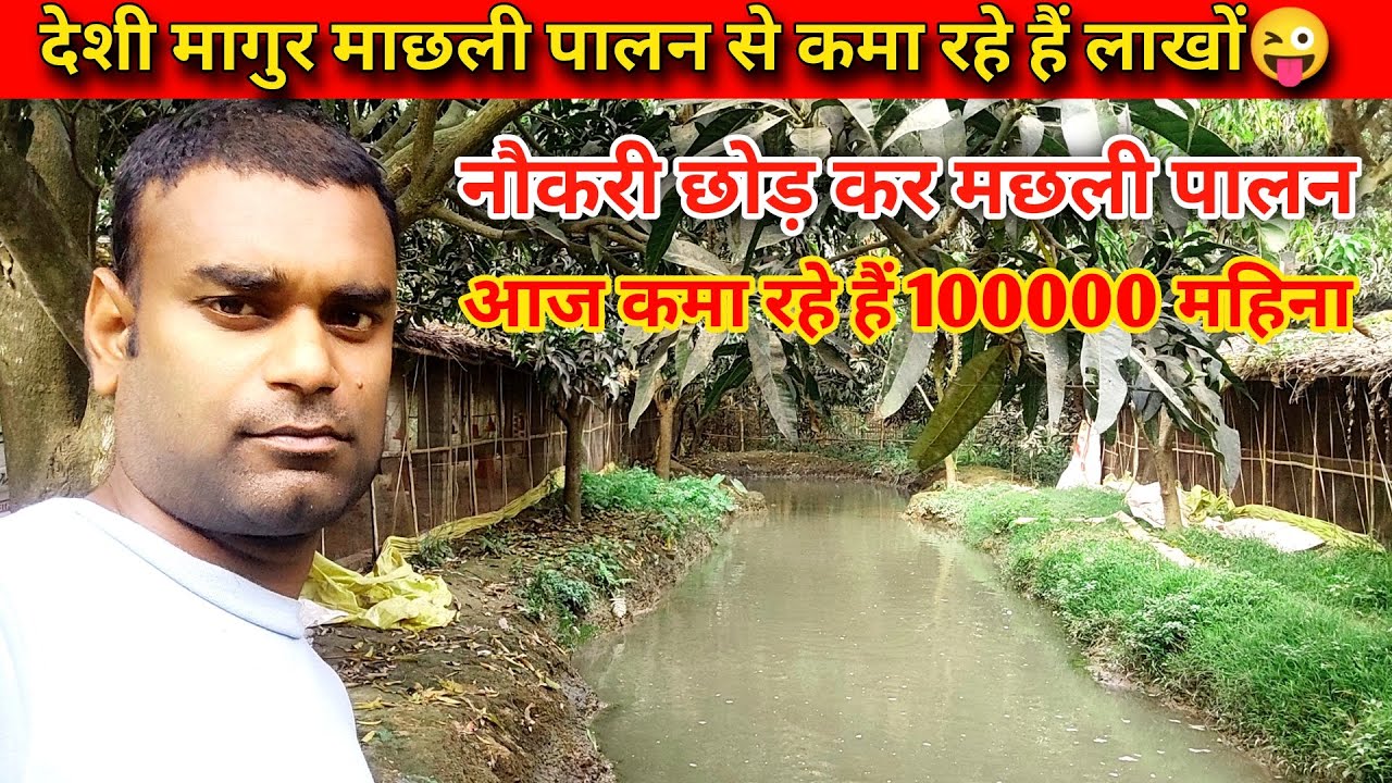 Desi magur machli Palan kaise kiya jata hai|🦐|मांगुर मछली कितने दिन में‌ तैयार हो जाती है#catfish🐋🦈🐳