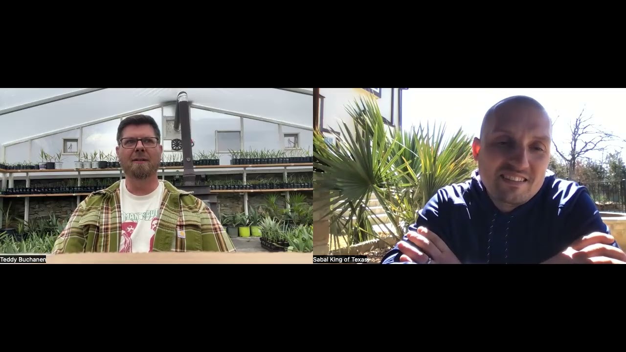 🌴 Palmcast – Episode 2: Our Journey as Growers & Building a Business pt. 1 🎙️