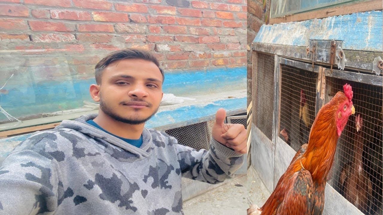 Sare Cage Ka Plastic Utaar Diya