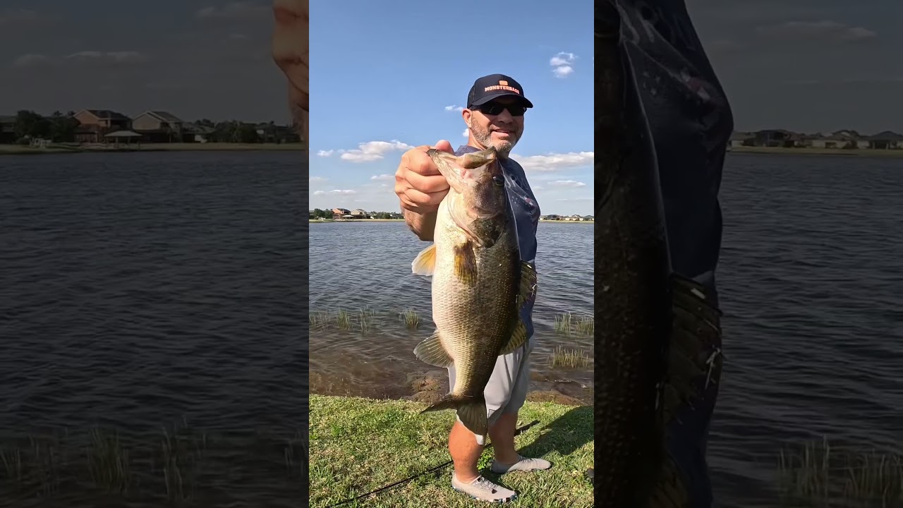 Check Out This Fat Bank Bass on a Windy Day 