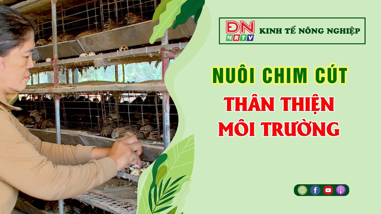 🍀 Kinh tế nông nghiệp 6-2-2026 | Thông tin hữu ích | ĐNNRTV