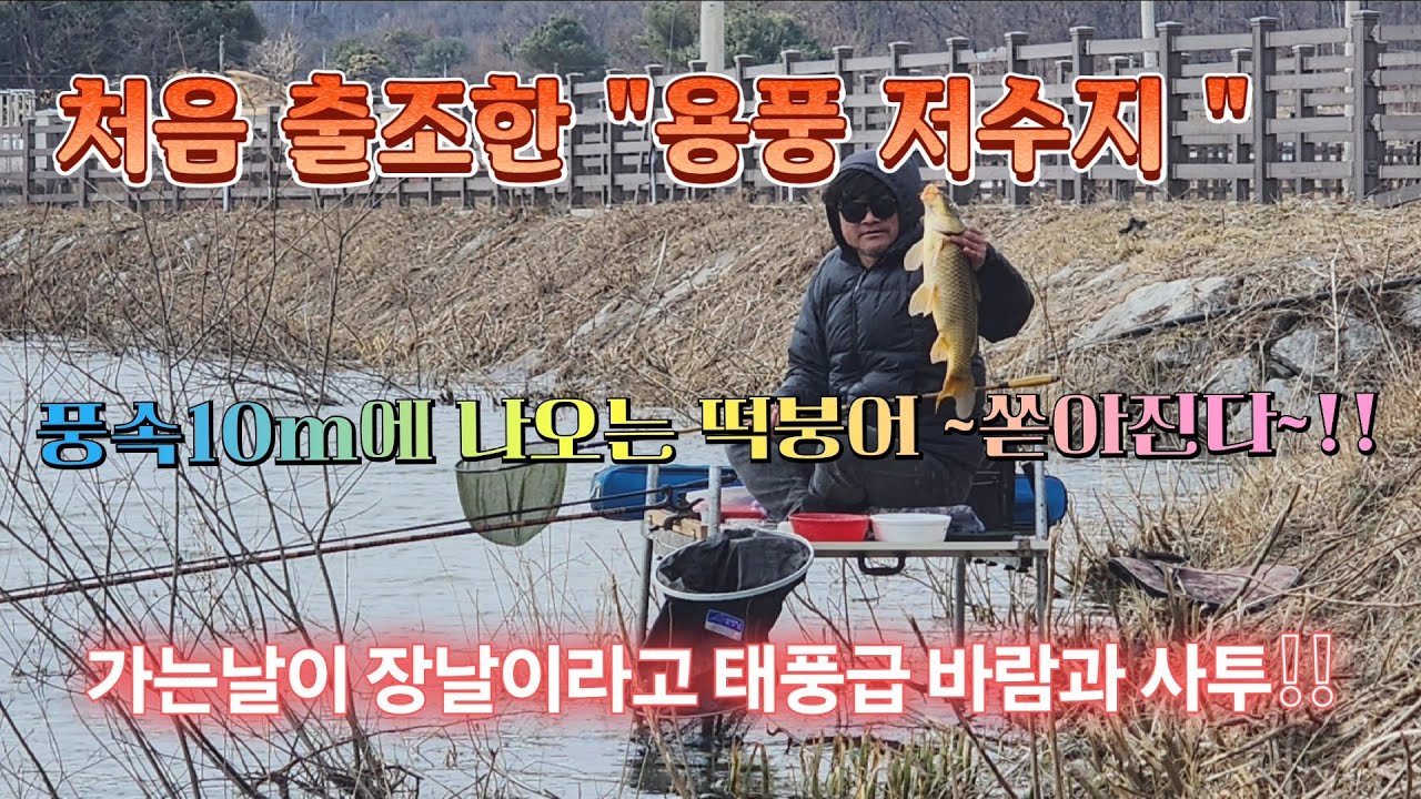 태풍급 바람에 느나로 나오는 떡붕어 ~그곳은 용풍지~!!#중앙어수라 #초계찌 #거북선대왕좌대 