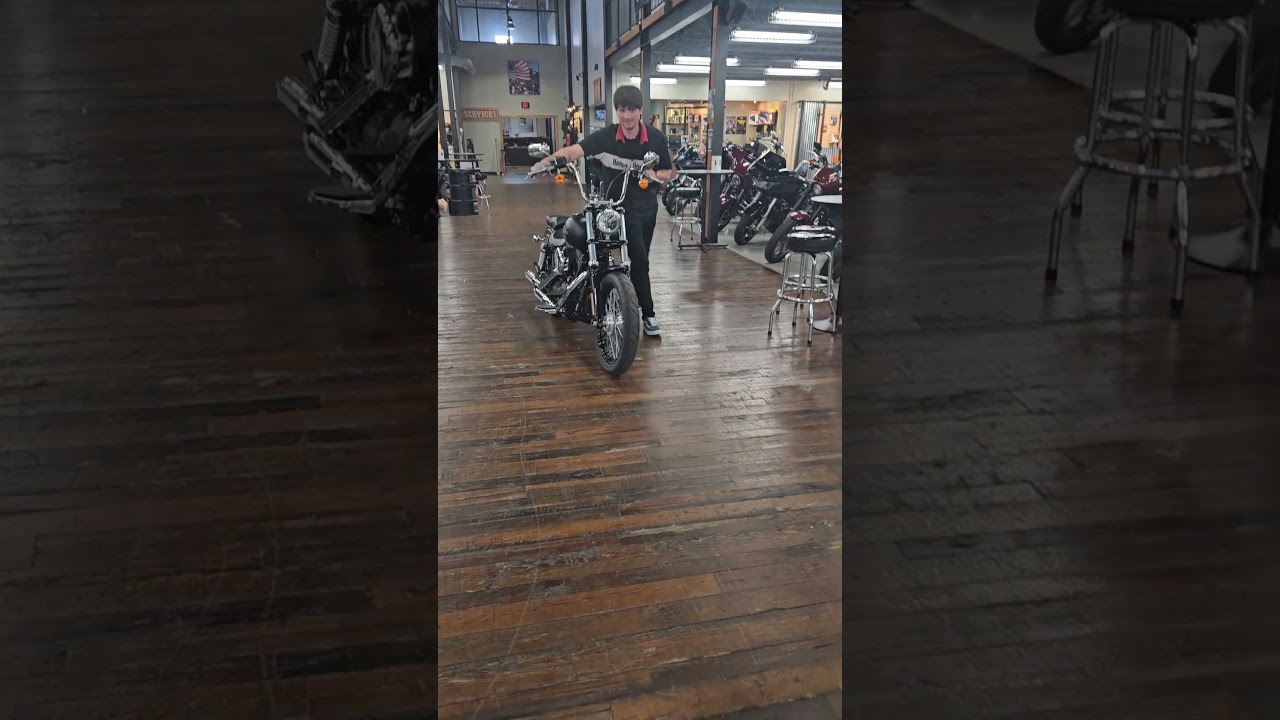 Meet Stevie, my new 2017 Harley Davidson Dyna Street Bob.