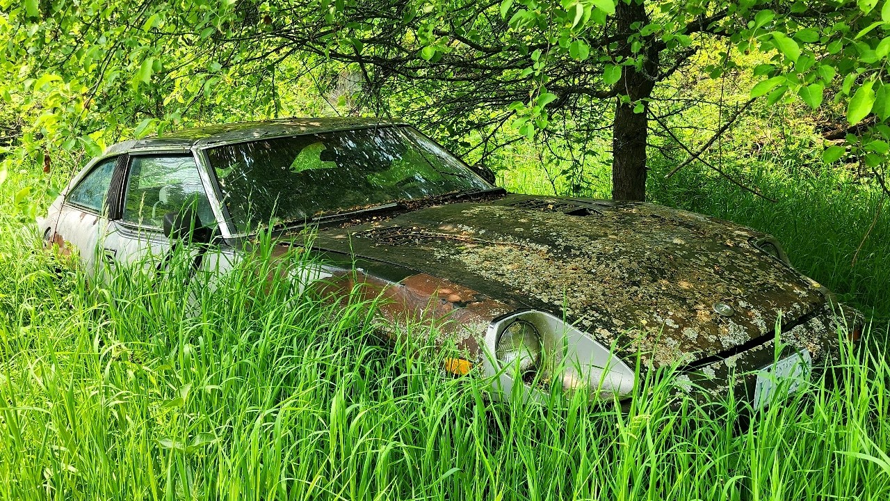 DATSUN простоял 34 года «завелся на стоянке».. Заведется ли?