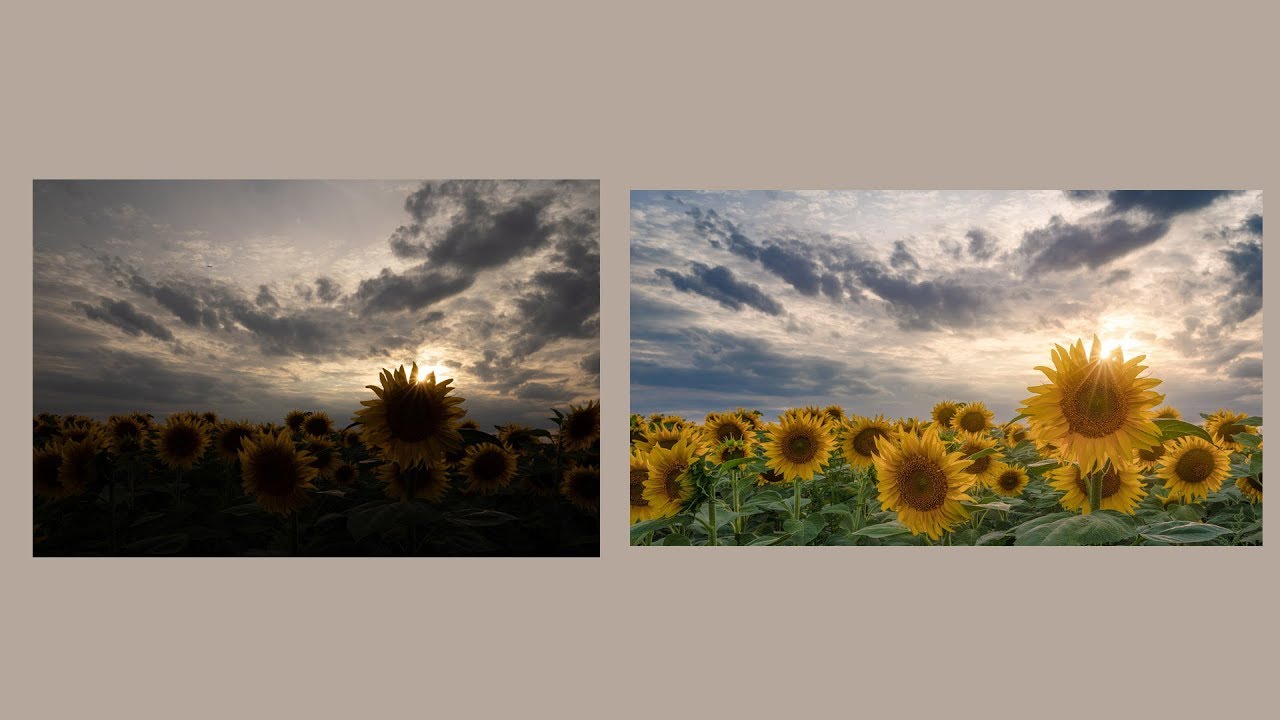 Bildbearbeitung für Einsteiger - in 2 Minuten zum optimierten Foto nur mit dem Windows-Fotoviewer!