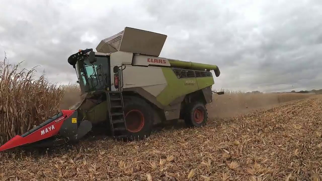 Recolección De Maíz En Castilla y León.