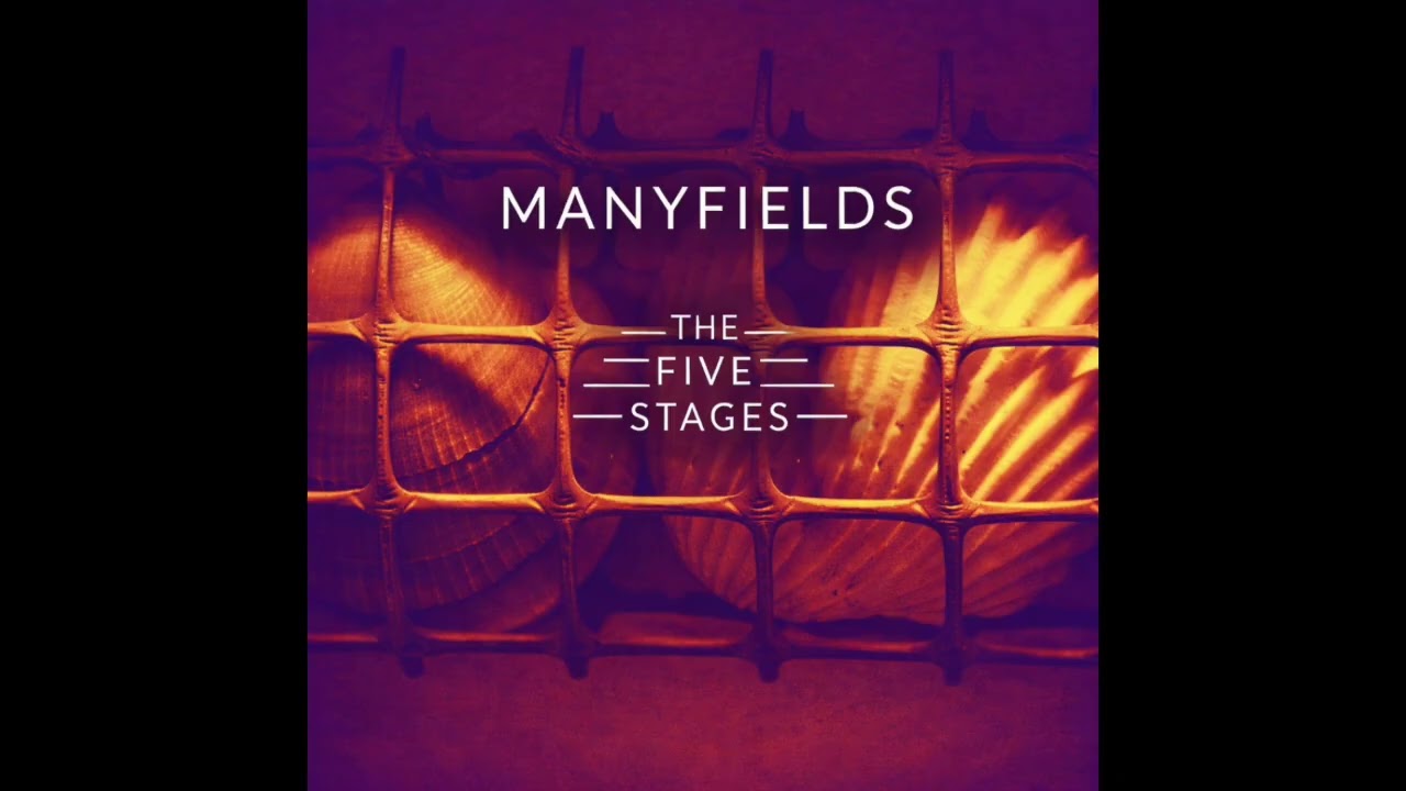 Manyfields - The Bargaining