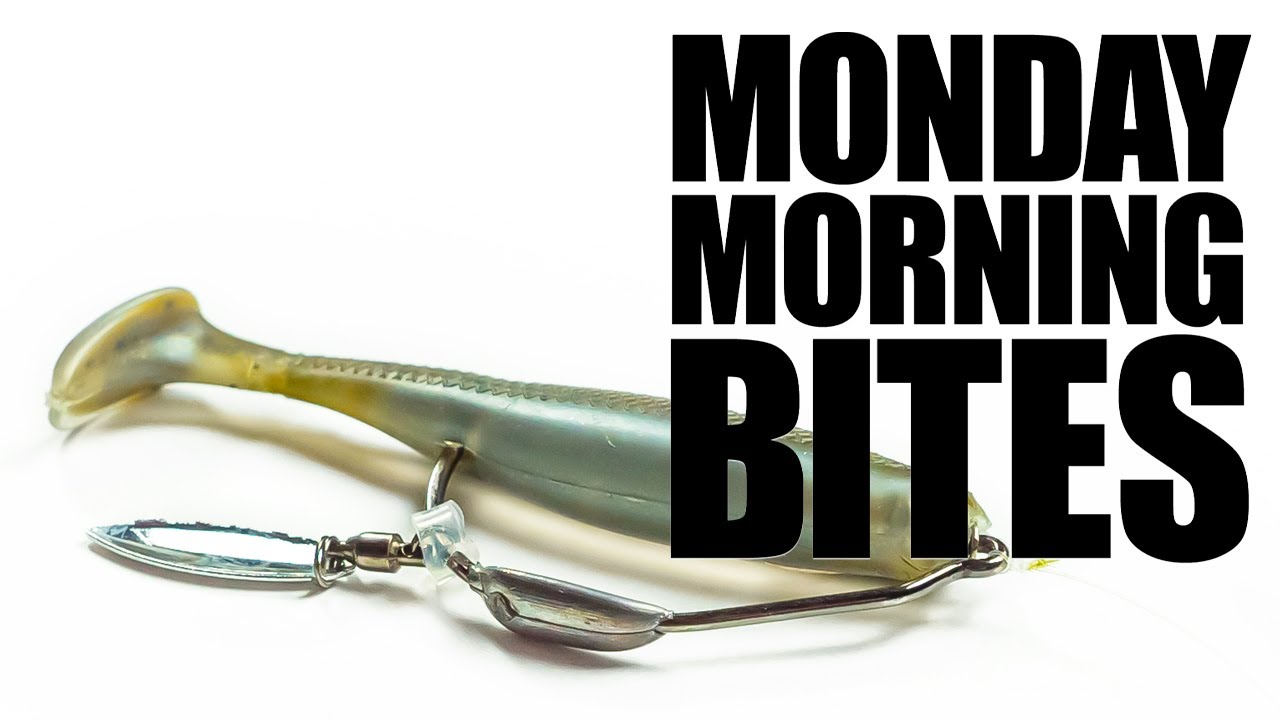 Testing a Saucy Z-Man DieZel Minnow