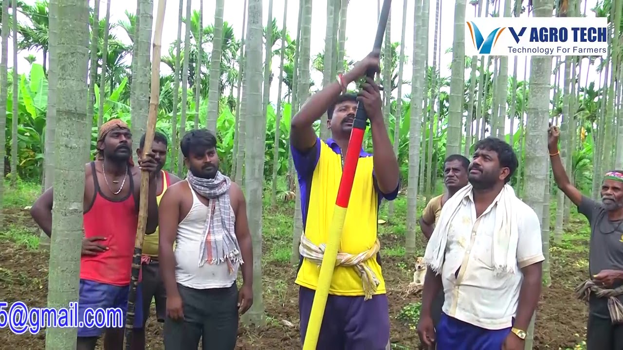 ARECANUT HARVESTER POLE