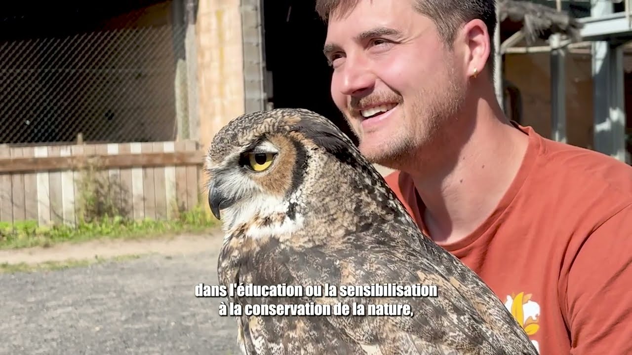 Réintroduction de chouettes de l’Oural : une mission pour la biodiversité