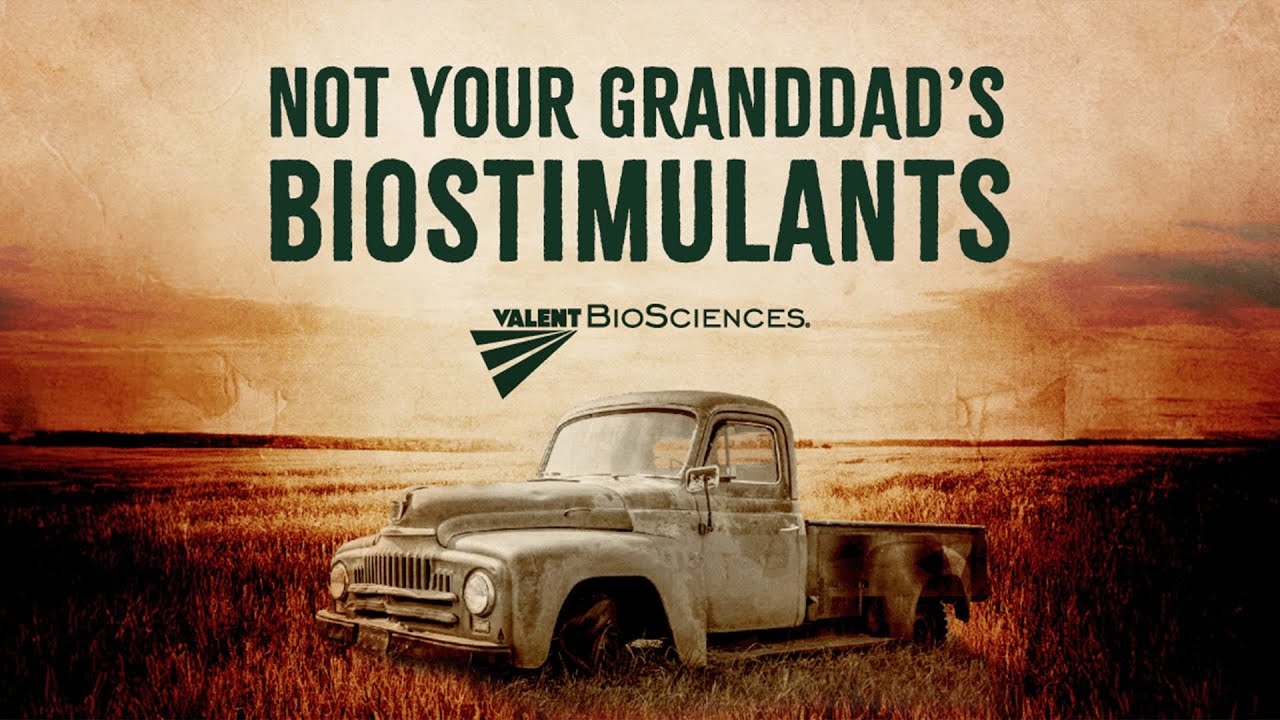 Granddad Biostimulant Radio AD