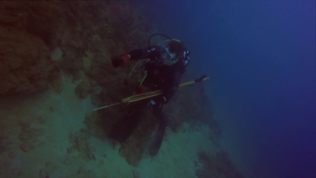 Florida lobster limit and a few lion fish 2019