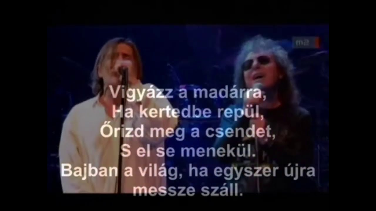 Vigyazz a madarra szoveg