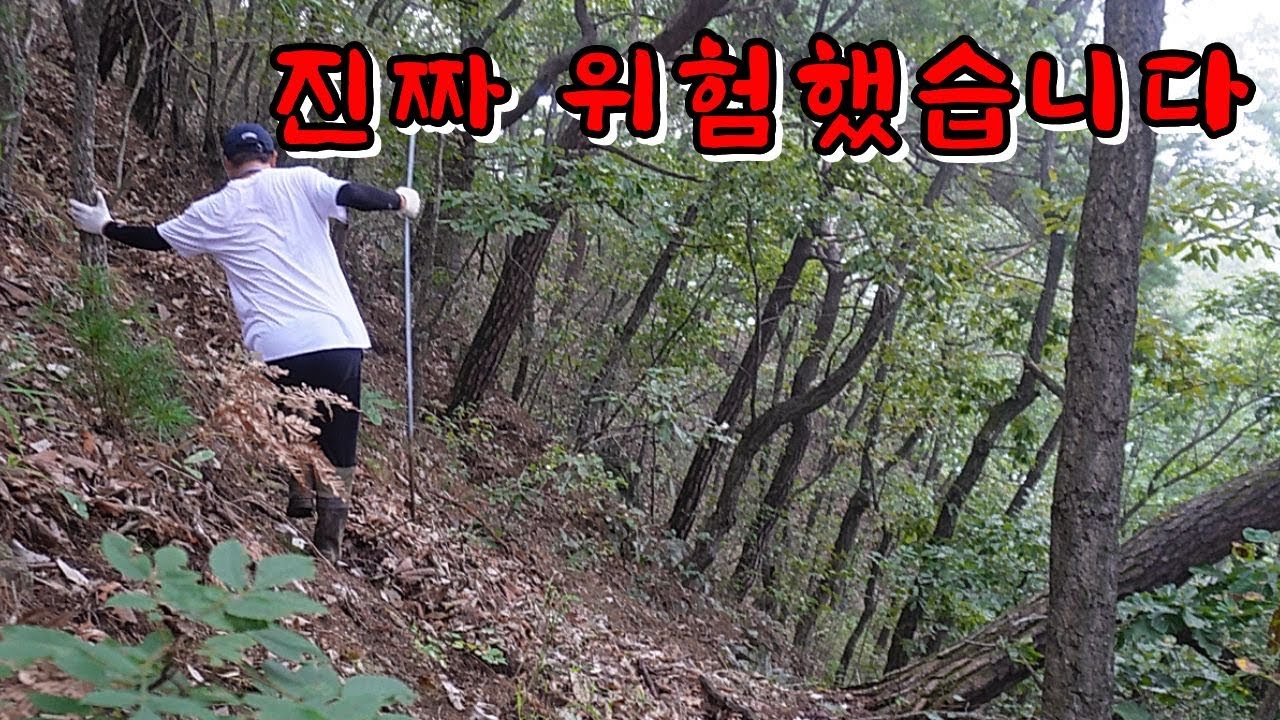 미친 가격을 자랑하는 그놈 때문에 24시간 잠도 안 자고 위험한 산행 다녀왔습니다.