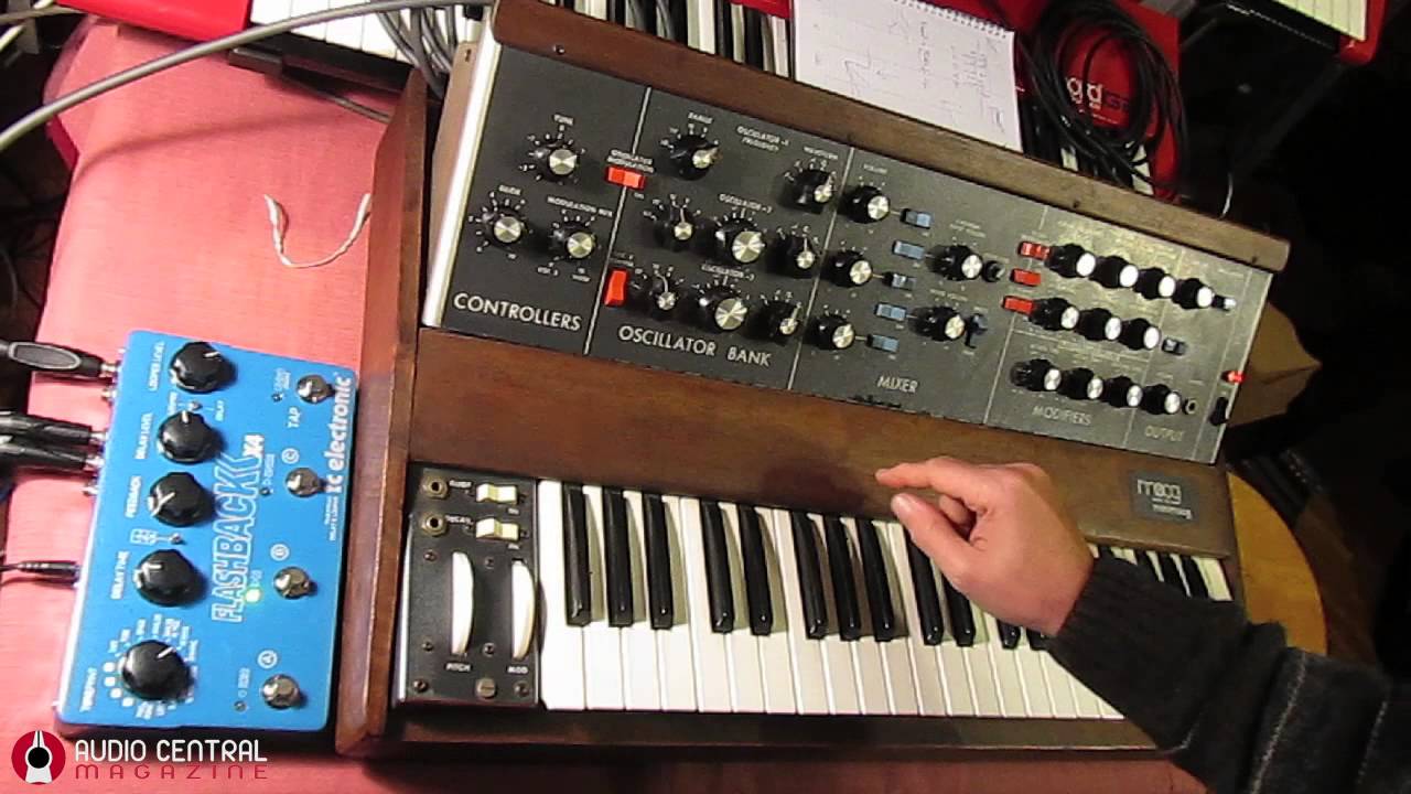 TC Flashback Delay 4X & Minimoog