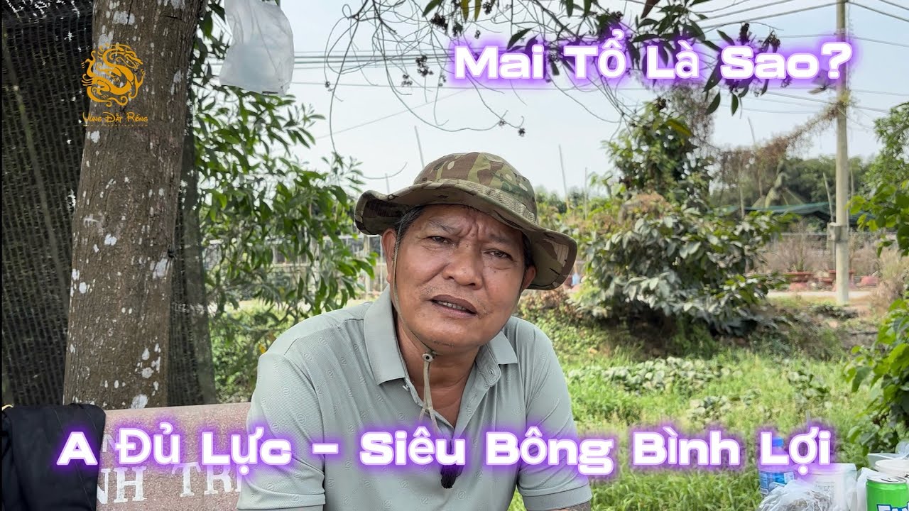 💥Anh Đủ Lực - Người Khai Sinh Giống Mai Siêu Bông Bình Lợi nói về “Mai Tổ”.!|Vùng Đất Rồng 