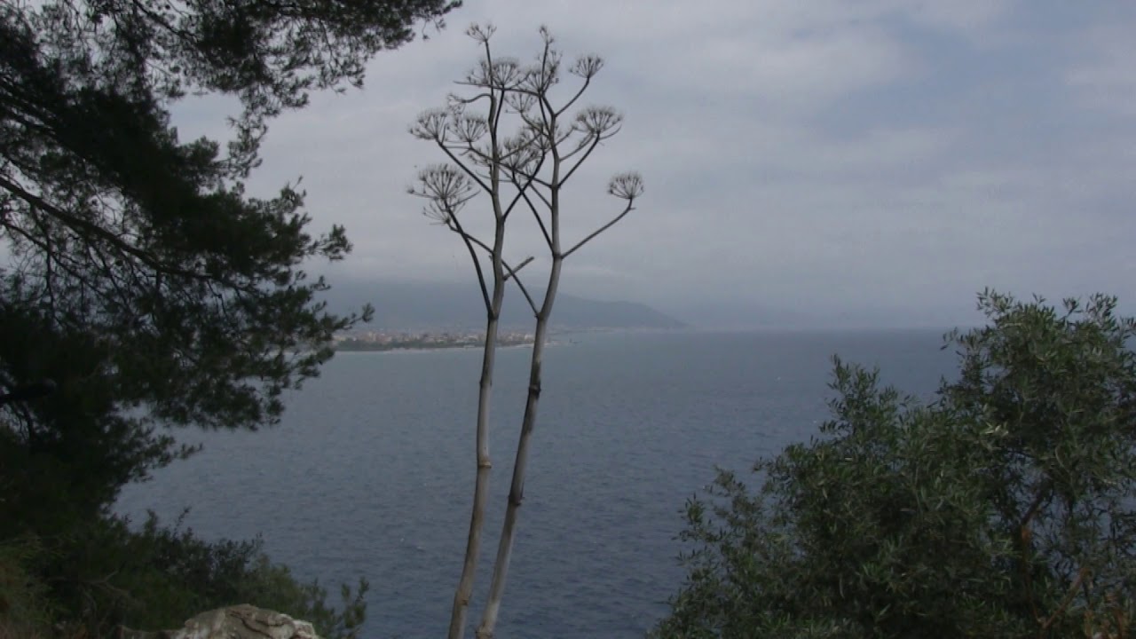 Isola Gallinara