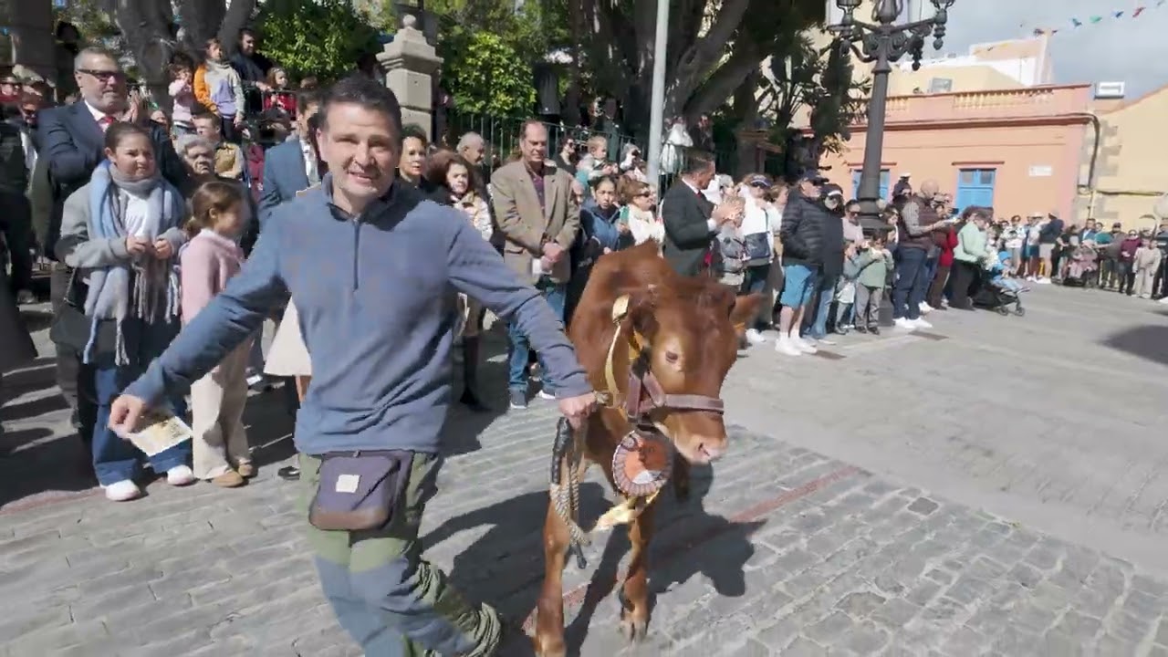 DÍA PRINCIPAL FIESTAS DE SAN SEBASTIÁN AGÜIMES 2026