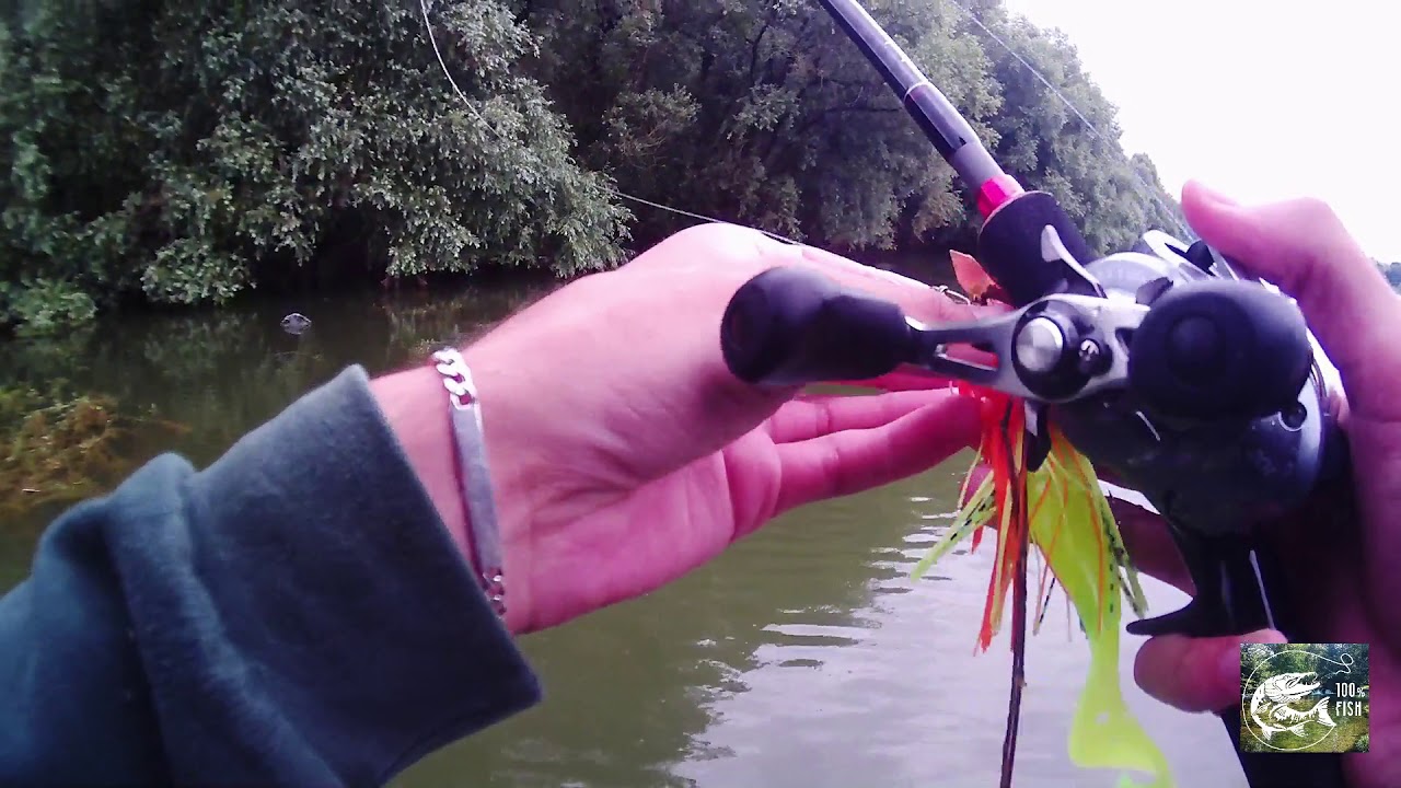 Ils sont cachés sous les herbes ! Pêche au lac de la liez / Touches en directs