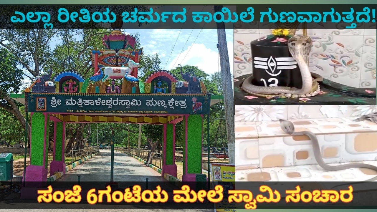 MATTITALESHWARA TEMPLE | ಮತ್ತಿತಾಳೇಶ್ವರ ದೇವಸ್ಥಾನ, ಕಂದೆಗಾಲ #malavalli #mandya #soriasis