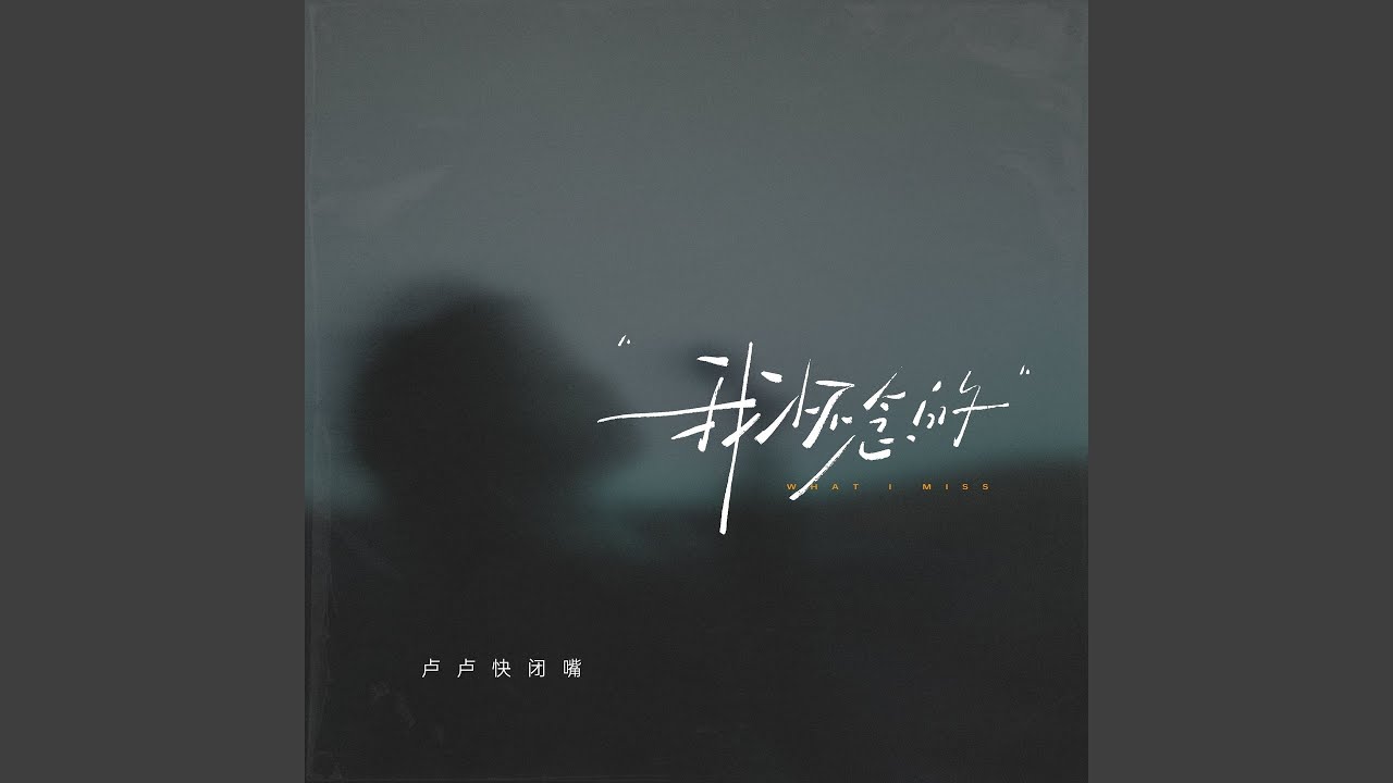 我怀念的