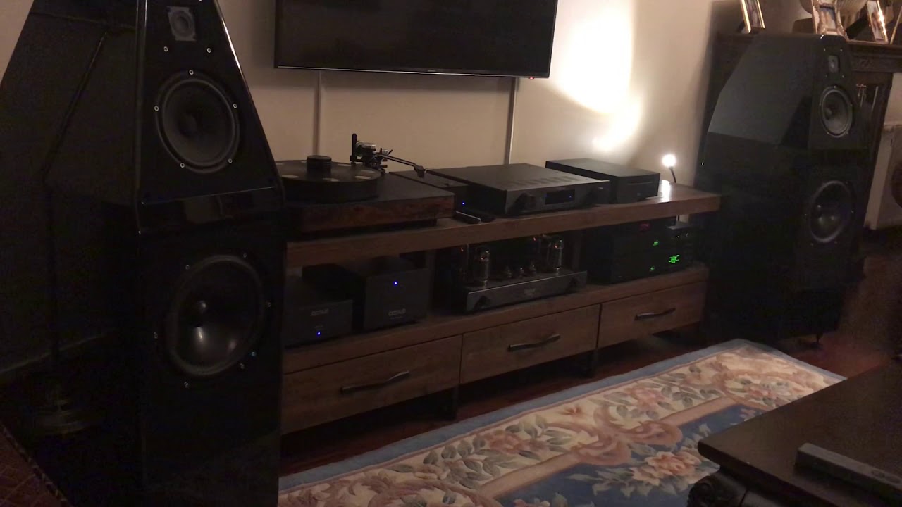 Wilson Audio & Octave pre-power Dr. Feickert analogue