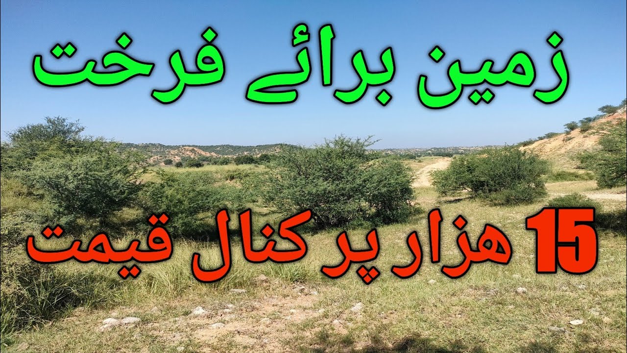 Agriculture Land for sale|| District Jehlim More info Contact