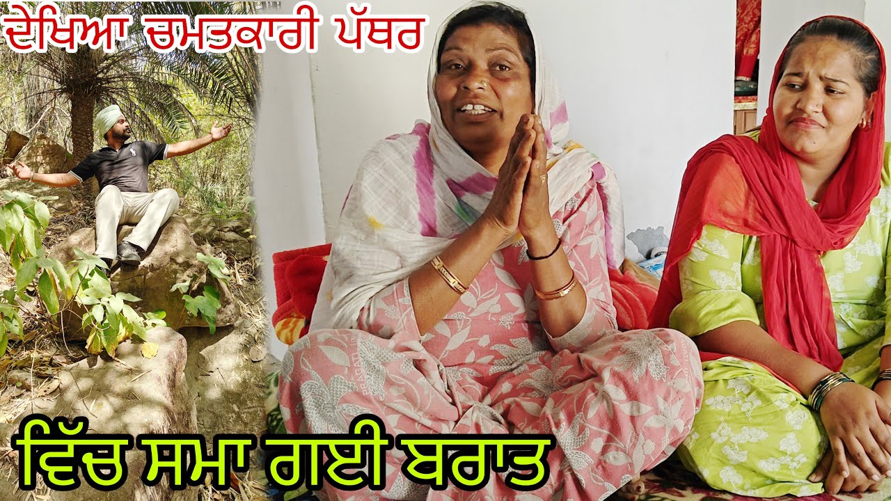 ਮਾਮੀ ਨੇ ਦਿੱਤਾ ਸੀ ਸਭ ਨੂੰ ਡਰਾ, ਕੀ ਸੱਚ ਕੀ ਝੂਠ @rabinderaujla5633 