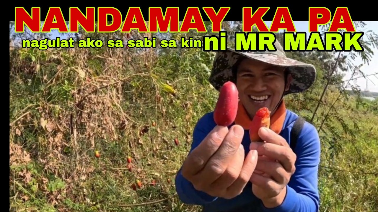 nandamay  pa / NILAGAY SA BILLBOARD PARA SIRAAN AT IPAHIYA  CATCH AND COOK FISHING