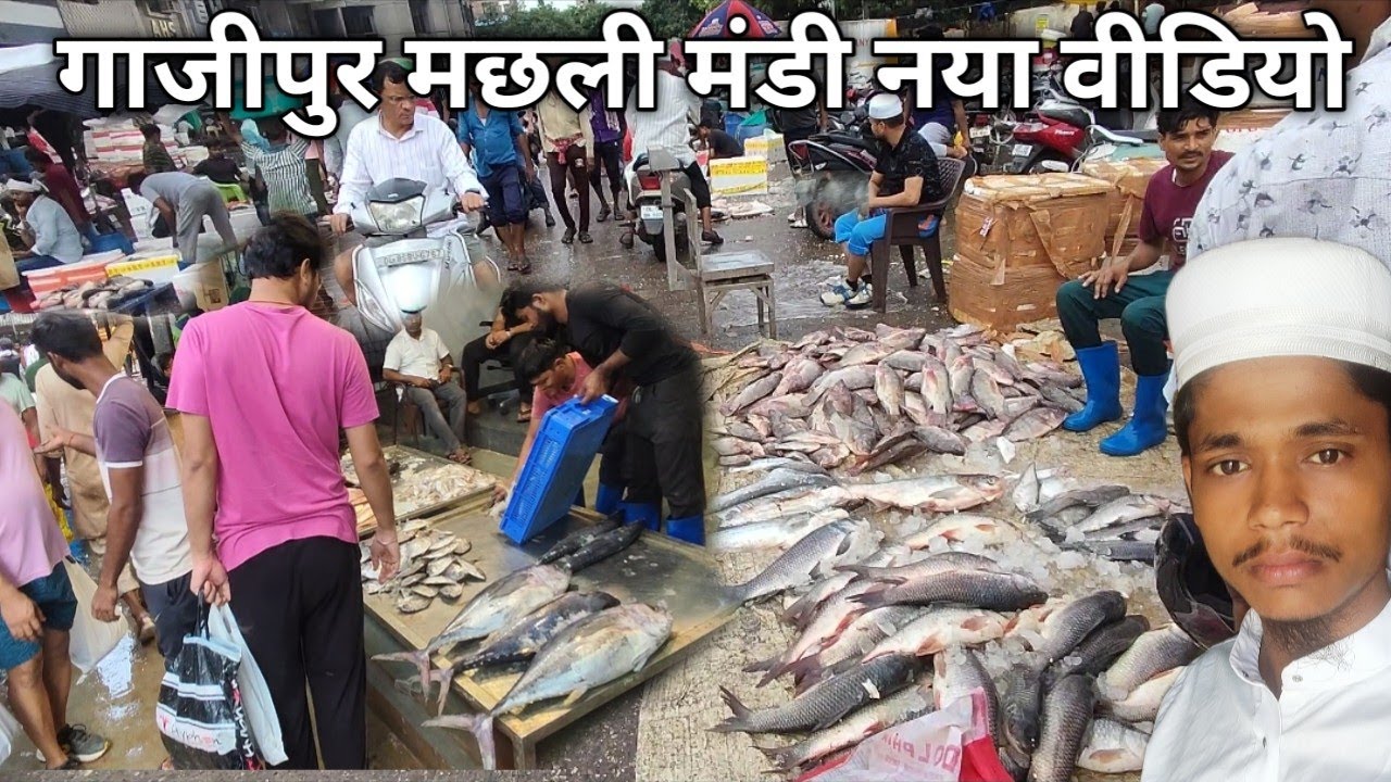 गाजीपुर मछली मंडी नया रेट आज का |Gazipur fish market Delhi |Gazipur Machhali Mandi price