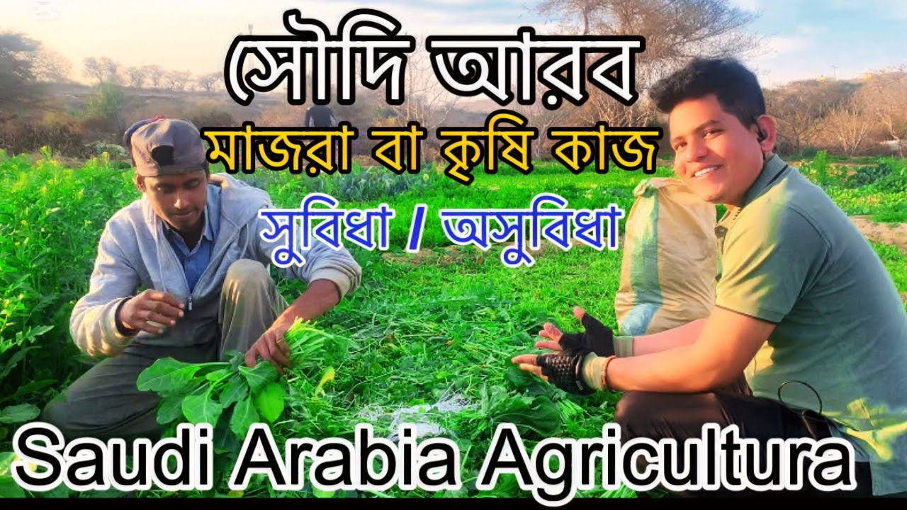 সৌদি আরবের কৃষি বা মাজরার কাজ | Saudi Arabia Agricultural | Joy bd.