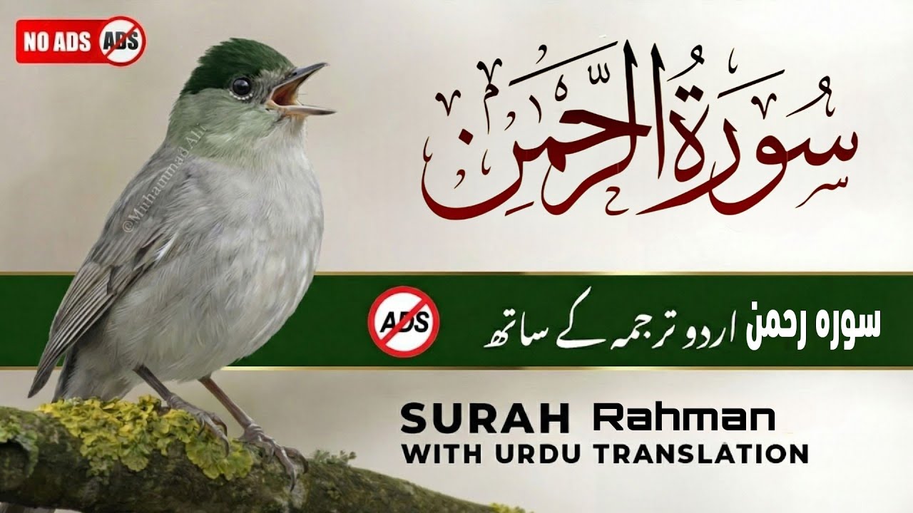 Surah Rahman Urdu Tarjuma k Sath | Qari Al Sheikh Abdul Basit Abdul Samad | Quran | Quran
