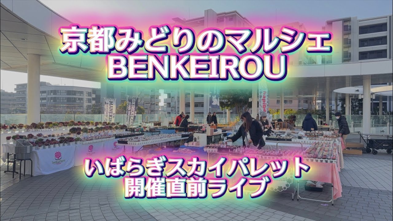 【京都みどりのマルシェBENKEIROU】開催直前ライブ💖朝はさっぶいけど💦めっちゃえぇ天気じゃ✊✨