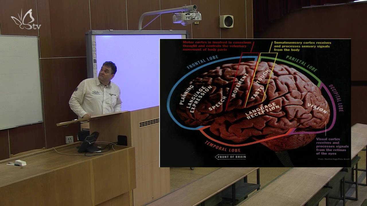 Neur&oacute;nov&eacute; siete - z&aacute;klady