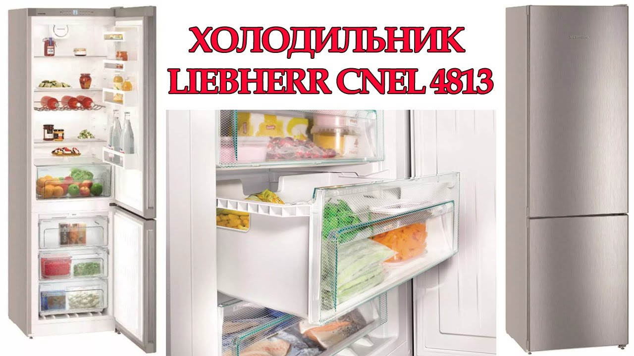Холодильник Liebherr CNel 4813 обзор