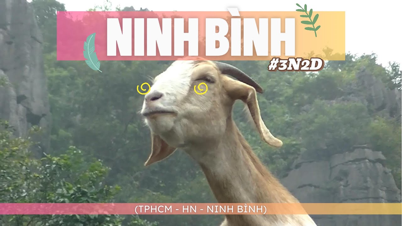 Du lịch Ninh Bình 2026 - Tự plan từ A tới Z cho người lần đầu đi