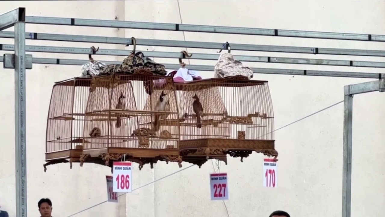 CB THI&Ecirc;N SƠN CỦA ANH KH&Aacute;NH NGUYỄN GIẢI NHẤT OTO SI&Ecirc;U CUP ĐỒNG NAI