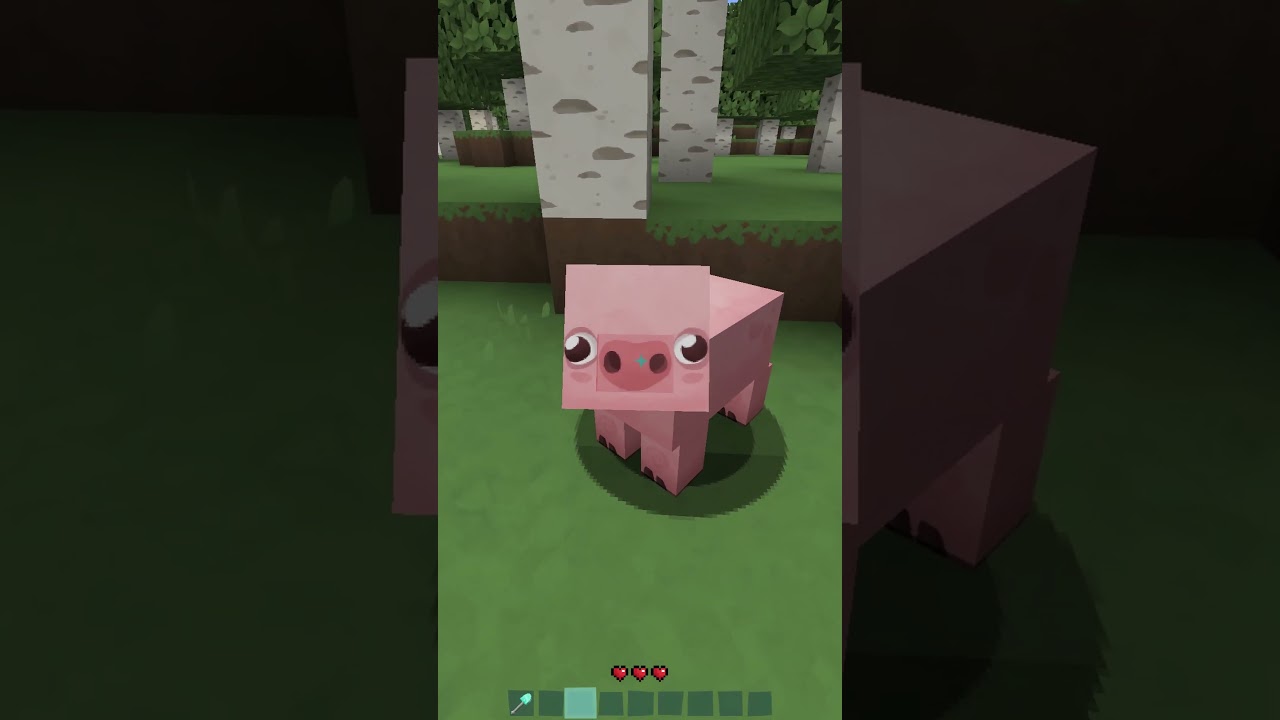 Типы текстур-паков в Minecraft