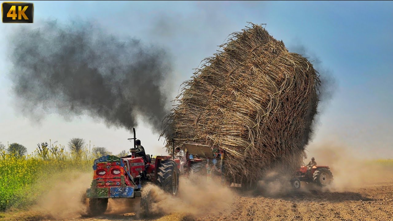 Green Holland fiat tractor amazing power | tractors pulling heavy sugarcane trolley | 4k Ultra HD