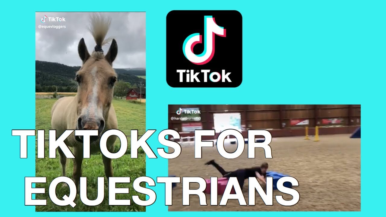 EQUESTRIAN TIKTOKS