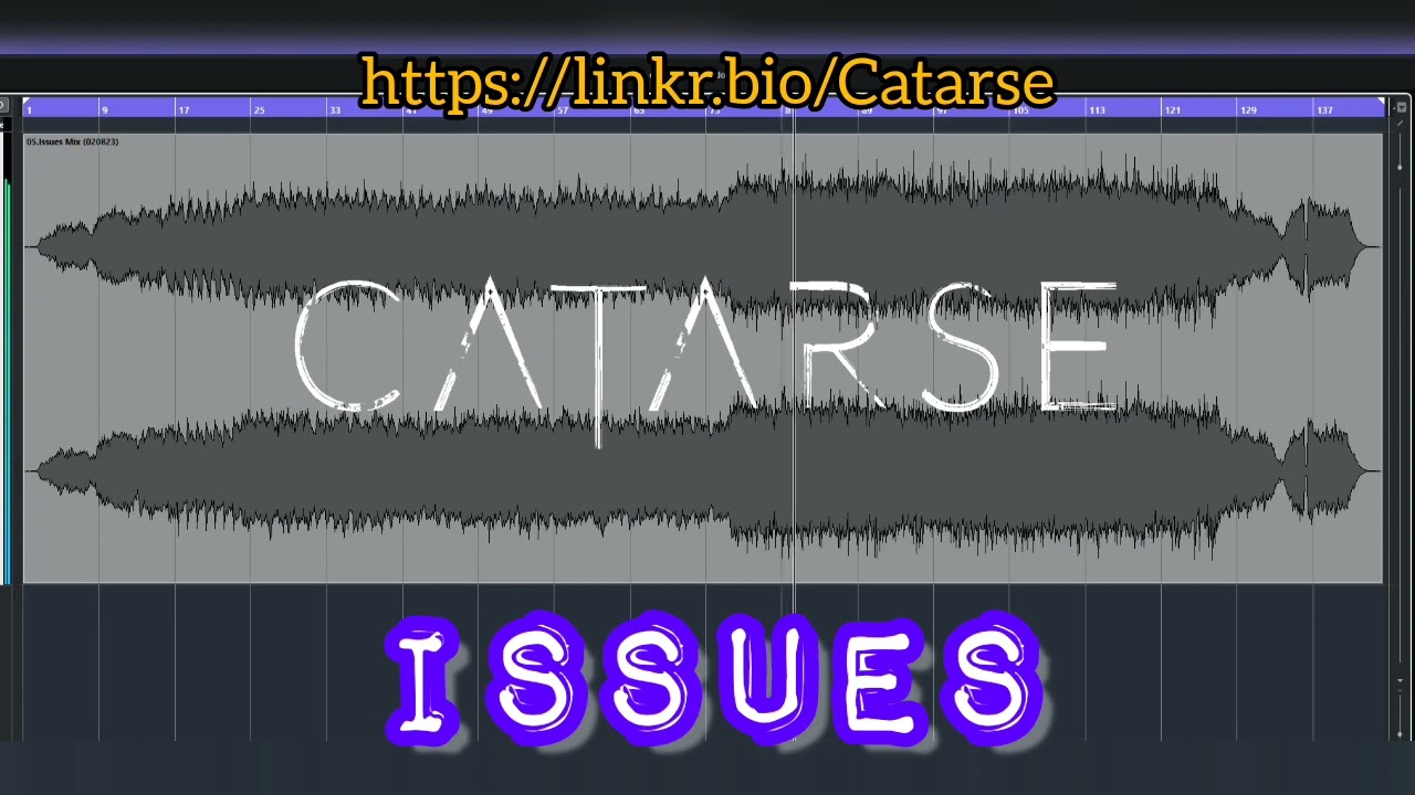 Issues by Catarse
