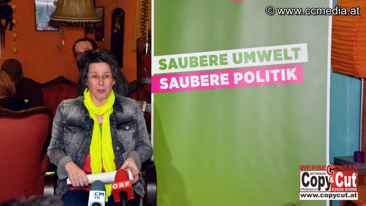 14. 1. 2015 - PK Petrik 10 Monate, 10 Jobs - CCM-TV.at