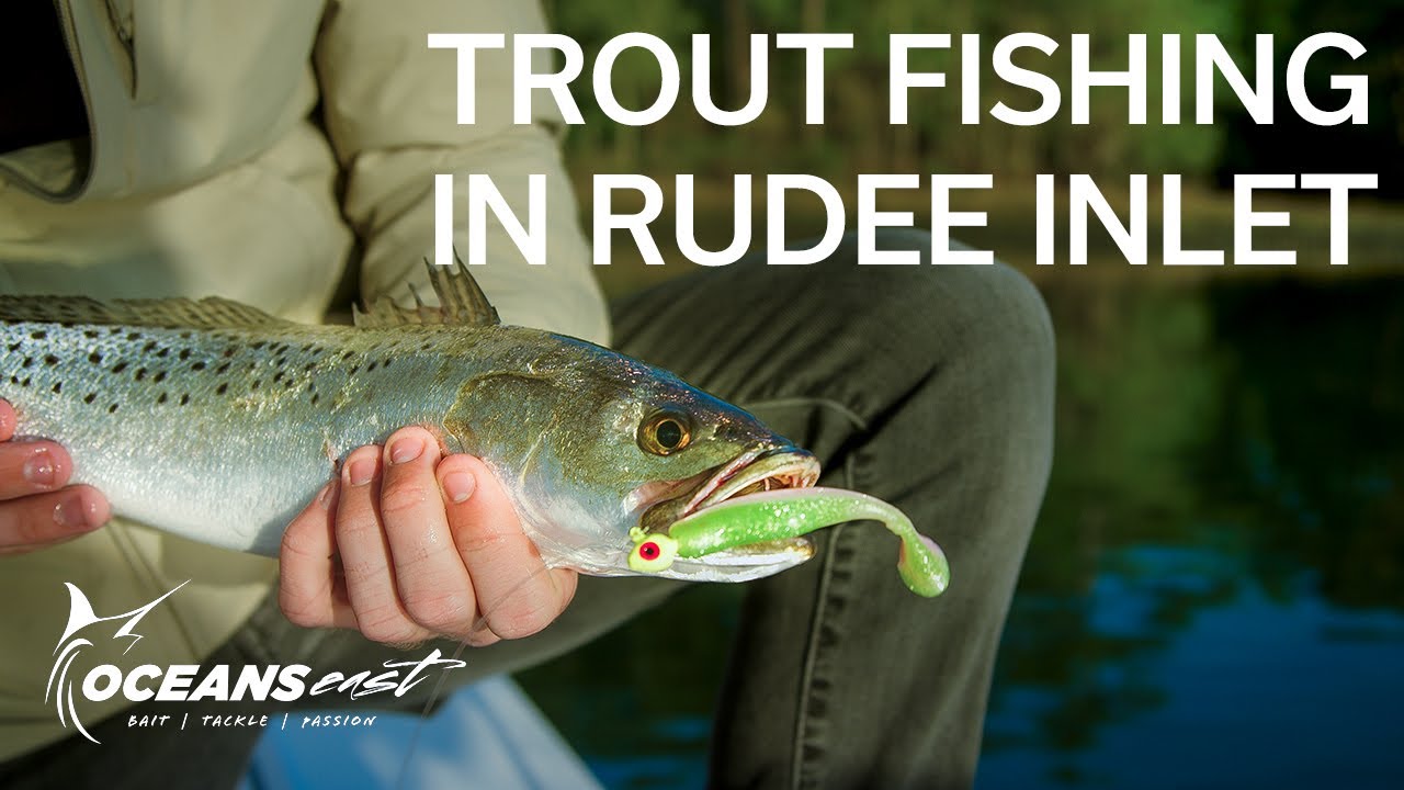 Catching Speckled Trout on Soft Plastics (Sea Trout)