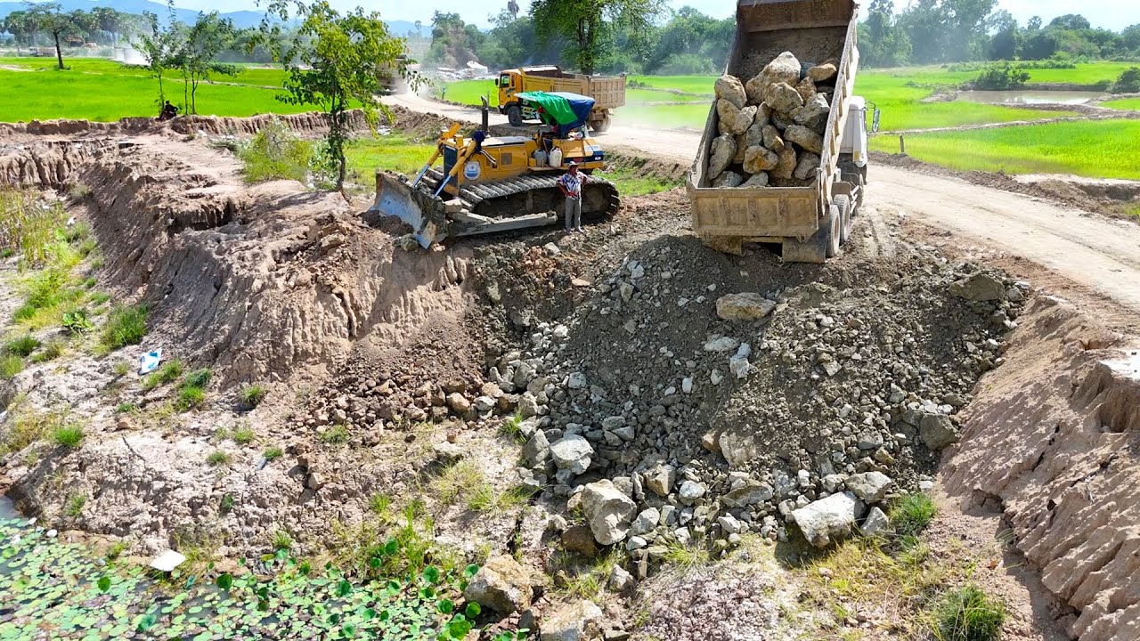 Large Project Scale! Landfill Into Deeply Big Pond Use Technique Bulldozer and Dump Trucks Working